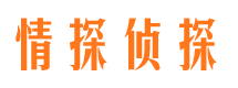 顺城找人公司